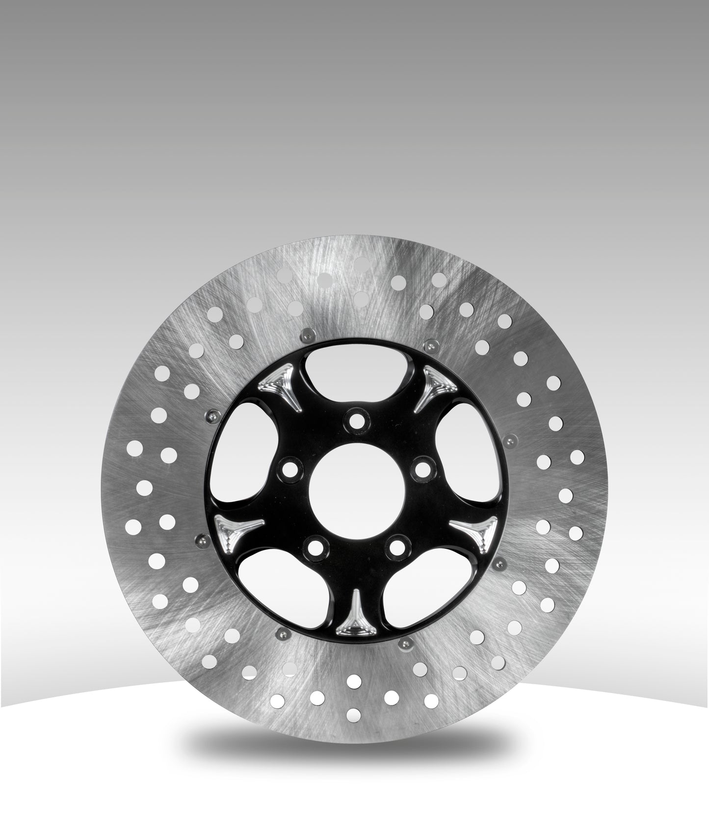 Matching 2pc left front rotor