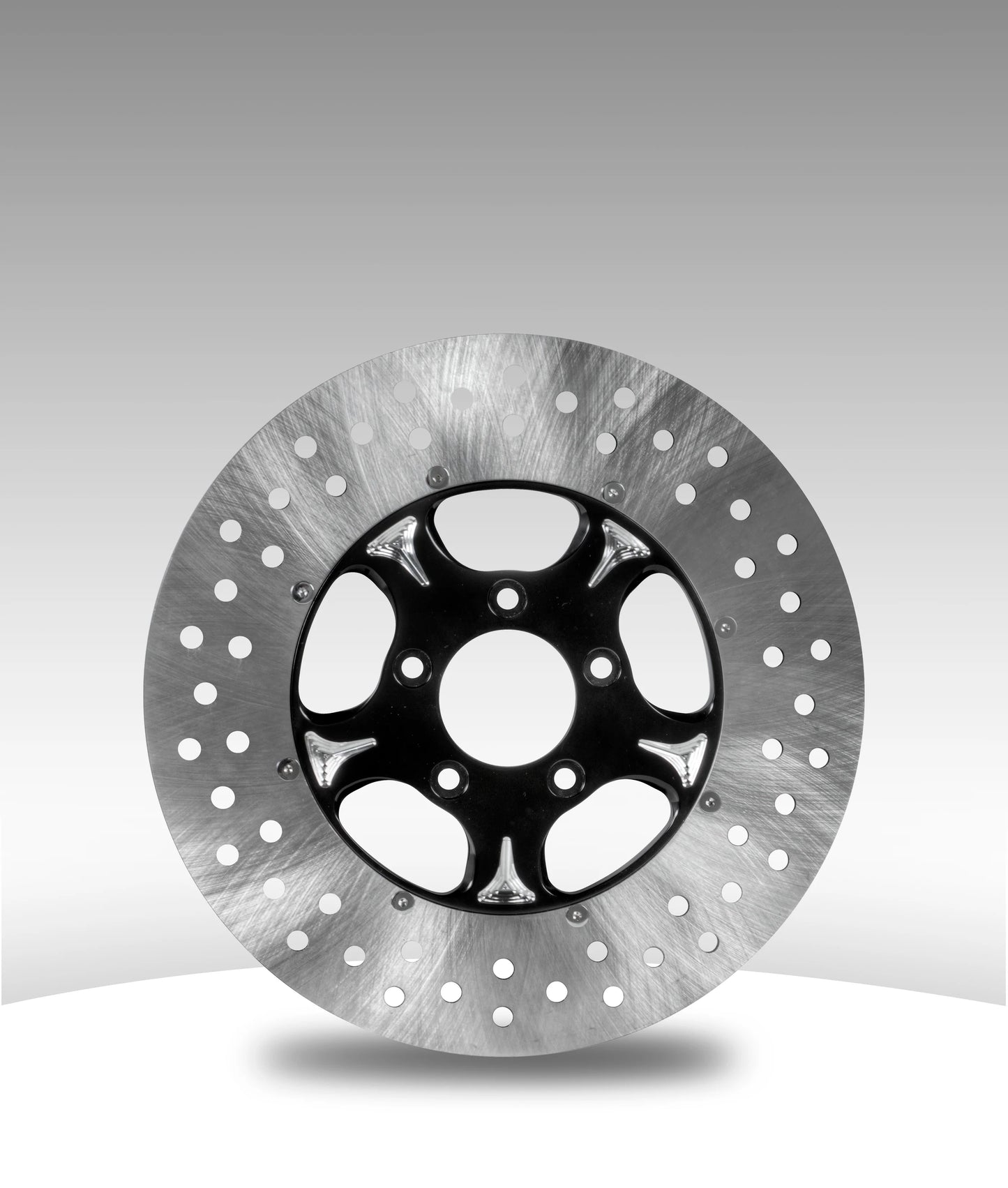 Matching 2pc right front rotor